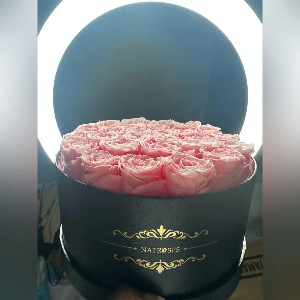 Pink Box Roses 🌹 Faux Floral Arrangement (color fading) extremely faded
